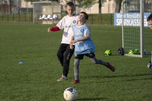 WIEN-INT-TAG2-078